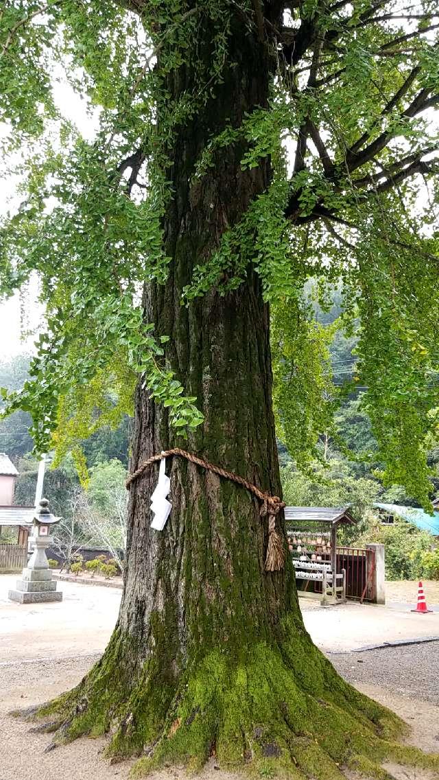広島県三原市中之町2174-2 賀羅加波神社の写真13