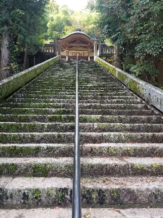 広島県三次市三次町1112-2 太歳神社の写真7