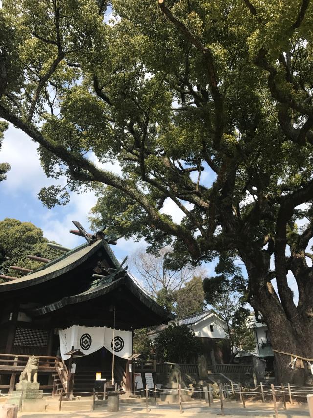 広島県尾道市長江1-3-5 艮神社(長江)の写真4