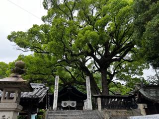 艮神社(長江)の参拝記録(いっくんさん)