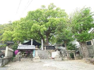 艮神社(長江)の参拝記録(淳仁さん)