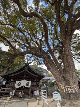 艮神社(長江)の参拝記録(うーさんさん)