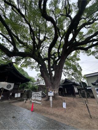 艮神社(長江)の参拝記録(ブロディさん)