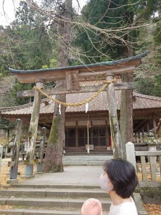 筒賀大歳神社の参拝記録(なみなみさん)