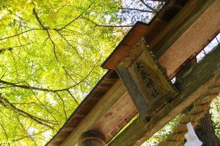 筒賀大歳神社の参拝記録(みっちゃんさん)