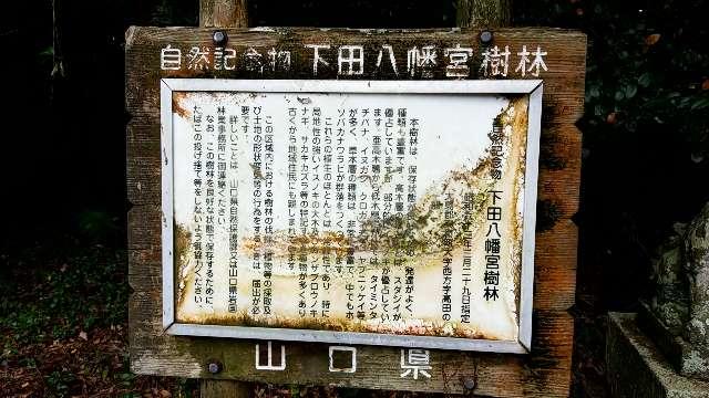 山口県大島郡周防大島町大字西方一九五七番地 下田八幡宮の写真5