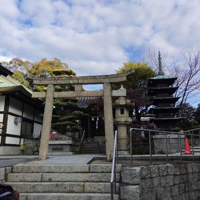 遠石八幡宮の参拝記録4