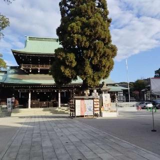 遠石八幡宮の参拝記録(くるみかなさん)