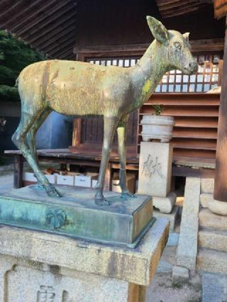 春日神社の参拝記録(風祭すぅさん)