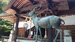 春日神社の参拝記録(matsuyoshi49さん)