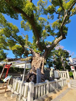 老松神社の参拝記録(風祭すぅさん)