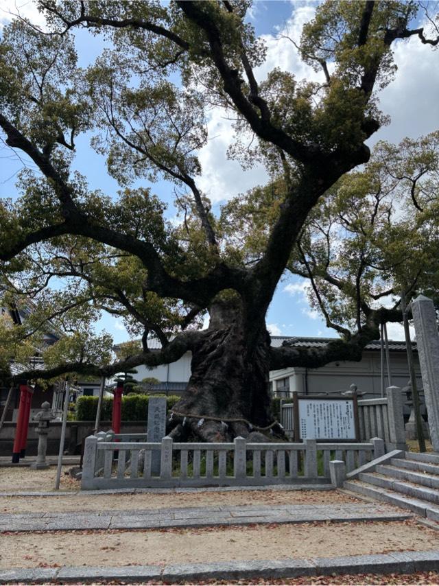老松神社の参拝記録3