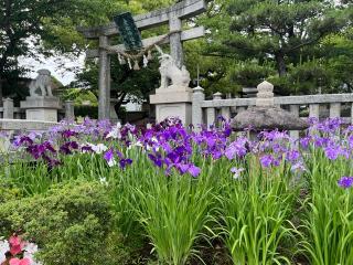 老松神社の参拝記録(けいちゃんさん)