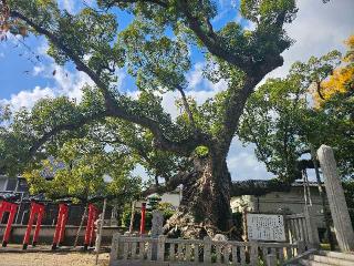 老松神社の参拝記録(英里さん)