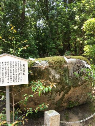 宇佐八幡宮の参拝記録(ゆきんこさん)