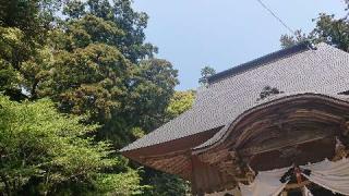 出雲神社の参拝記録(matsuyoshi49さん)