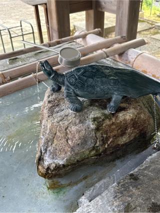 今八幡宮の参拝記録(コットンさん)