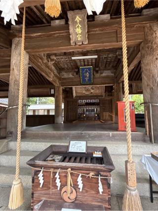 今八幡宮の参拝記録(コットンさん)