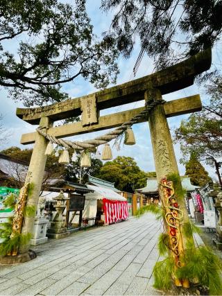琴崎八幡宮の参拝記録(おきなさん)