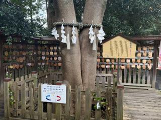 琴崎八幡宮の参拝記録(マーブさん)