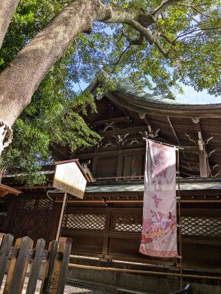 琴崎八幡宮の参拝記録(りひとさん)