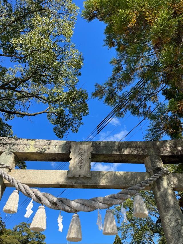 琴崎八幡宮の参拝記録6