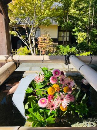 琴崎八幡宮の参拝記録(睦珠さん)