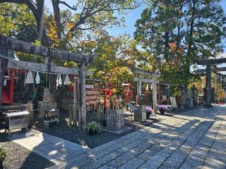 琴崎八幡宮の参拝記録(英里さん)