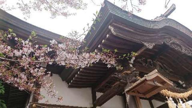 山口県宇部市新天町2丁目2番19号 中津瀬神社の写真3