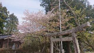 万倉護国神社の参拝記録(matsuyoshi49さん)