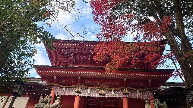 住吉神社（住吉荒魂本宮）の参拝記録(matsuyoshi49さん)