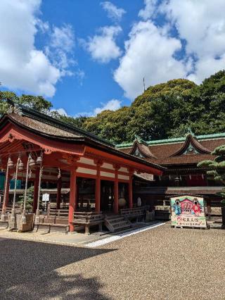 住吉神社（住吉荒魂本宮）の参拝記録(こまいぬおさん)