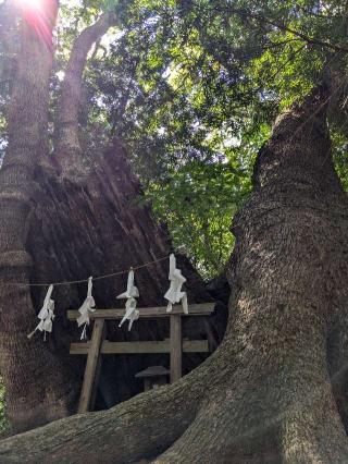 住吉神社（住吉荒魂本宮）の参拝記録(こまいぬおさん)