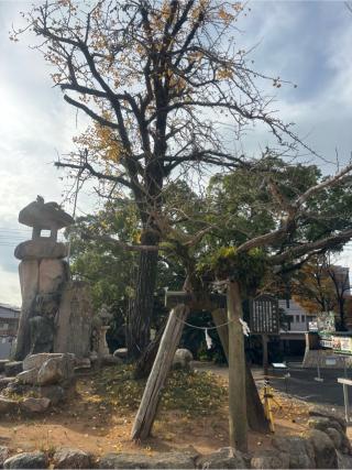 忌宮神社の参拝記録(ユウさん)