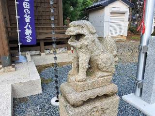 田の首八幡宮の参拝記録(飛成さん)