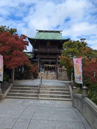 彦島八幡宮の参拝記録(こまいぬおさん)