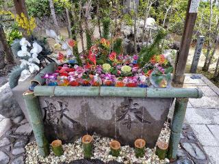彦島八幡宮の参拝記録( いなりんさん)