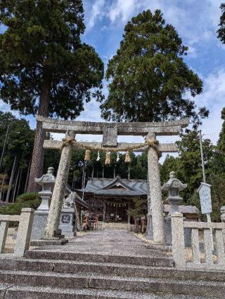 豊田神社の参拝記録(こまいぬおさん)