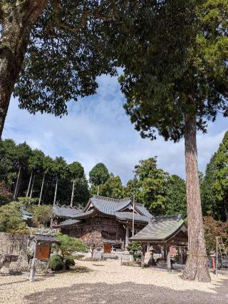 豊田神社の参拝記録(こまいぬおさん)