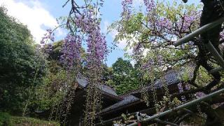 西八幡宮の参拝記録(matsuyoshi49さん)