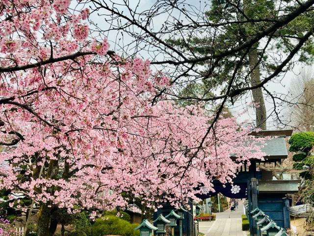 海寿山 満福寺 密蔵院の参拝記録10
