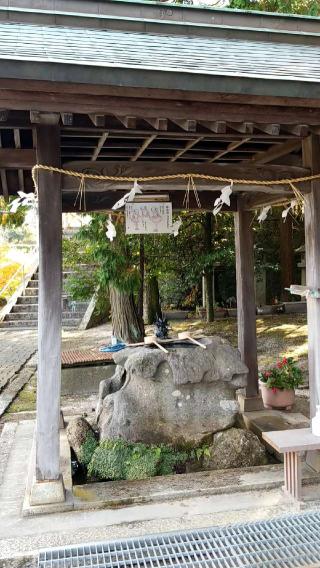 賀茂神社の参拝記録(さすらいきゃんぱさん)