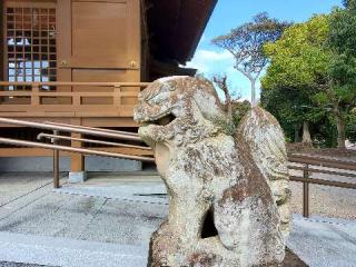 浅江神社の参拝記録(飛成さん)