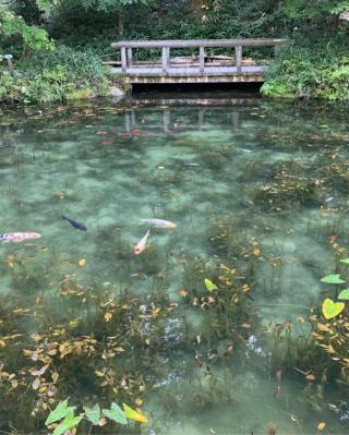 冠天満宮の参拝記録(まさきさん)