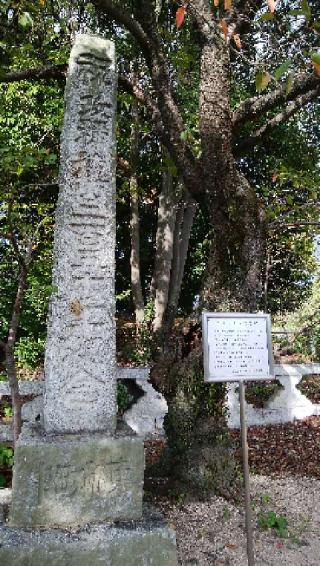祐綏神社の参拝記録(Cherieさん)
