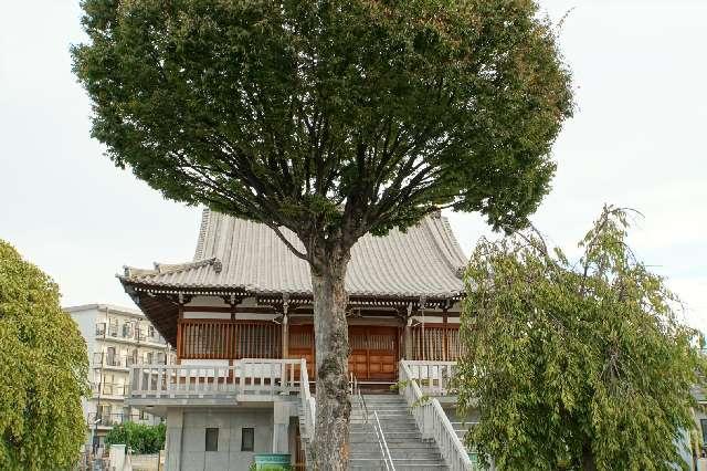 吉祥寺の写真1