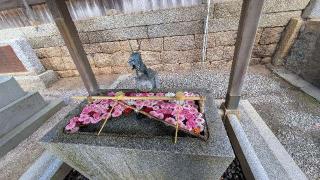 山﨑八幡宮の参拝記録(悠さん)