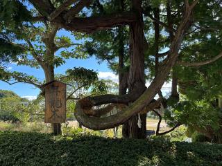 辰尾神社の参拝記録(おかちゃんさん)