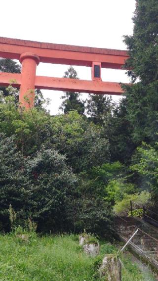 周防鹿野稲荷神社の参拝記録(ミリさん)
