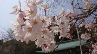 防府市護国神社の参拝記録(matsuyoshi49さん)